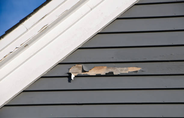 Best Storm Damage Siding Repair  in Nesquehoning, PA